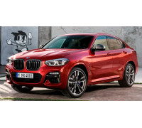 EVA килимки на BMW X4 G02 2018-