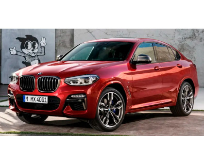 EVA килимки на BMW X4 G02 2018-