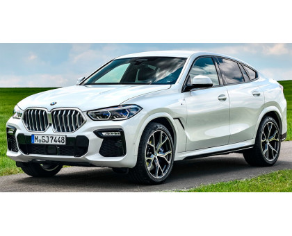 EVA килимки на BMW X6 G06 2019-