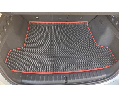 EVA килимки на BMW iX1 U11 2022-