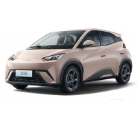 EVA килимки на BYD Seagull 2023-