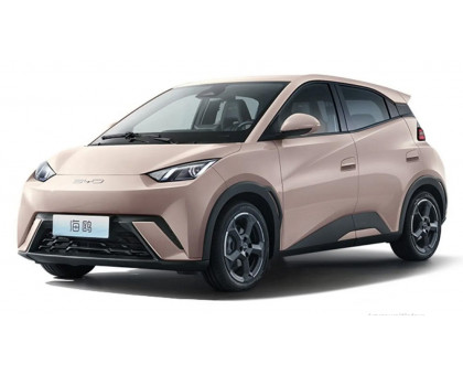 EVA килимки на BYD Seagull 2023-