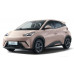 EVA килимки на BYD Seagull 2023-