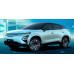 EVA килимки на Chery FX EV 2025-