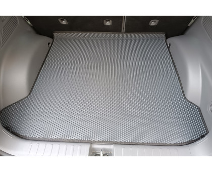 EVA килимки на Hyundai Ioniq 5 2021-