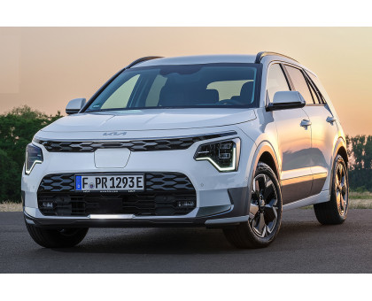 EVA  килимки на KIA e-Niro 2023-