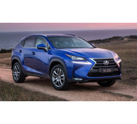 EVA килимки на Lexus NX (AZ10) 2014-2021
