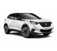 EVA килимки на Peugeot 2008 2020-