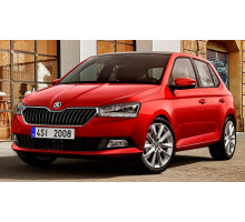 EVA килимки на Skoda Fabia 2014-2022
